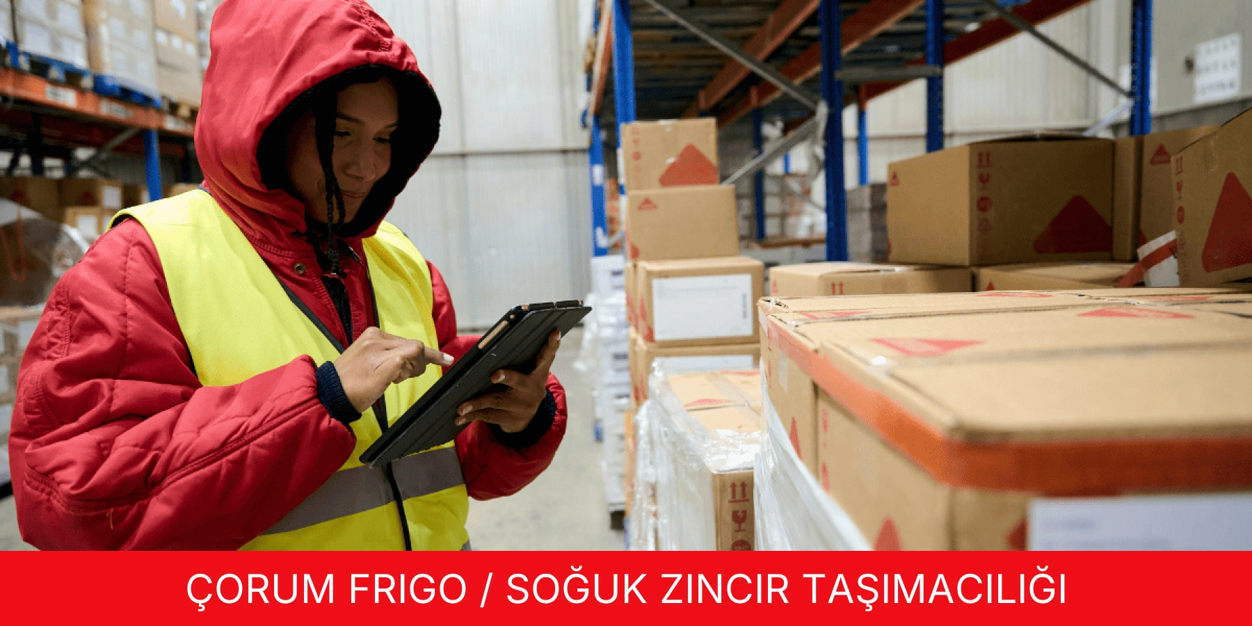 Frigo / Soğuk Zincir Taşımacılığı