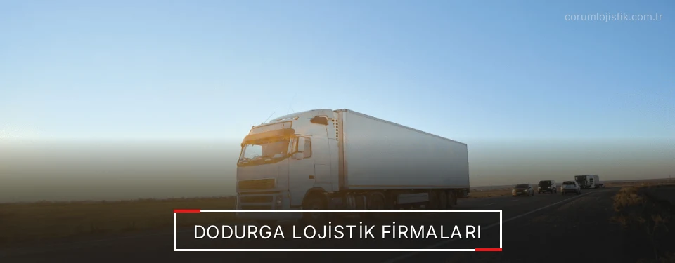 Dodurga Lojistik Taşımacılık