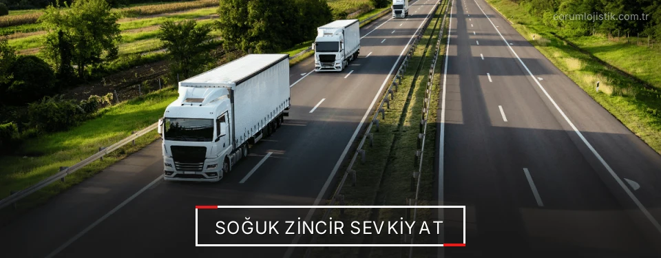 Çorum Frigo Taşımacılık Firmaları